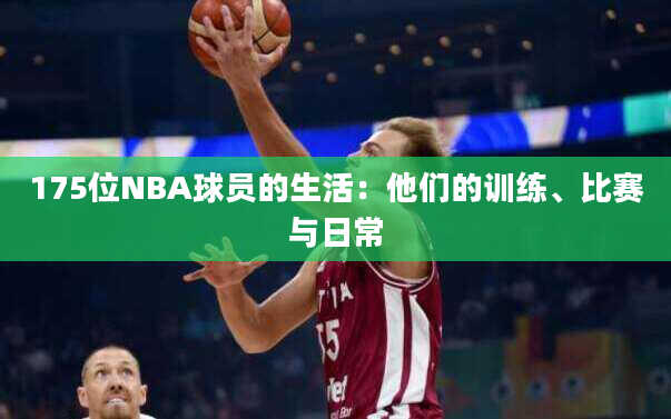 175位NBA球员的生活：他们的训练、比赛与日常