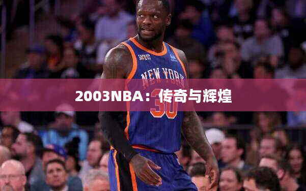 2003NBA：传奇与辉煌