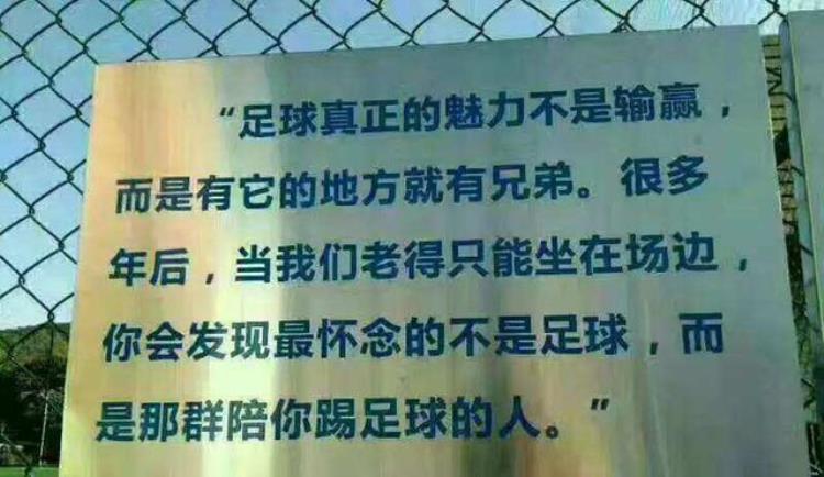 足球世界杯的记忆98年英阿大战和02年中国队出线