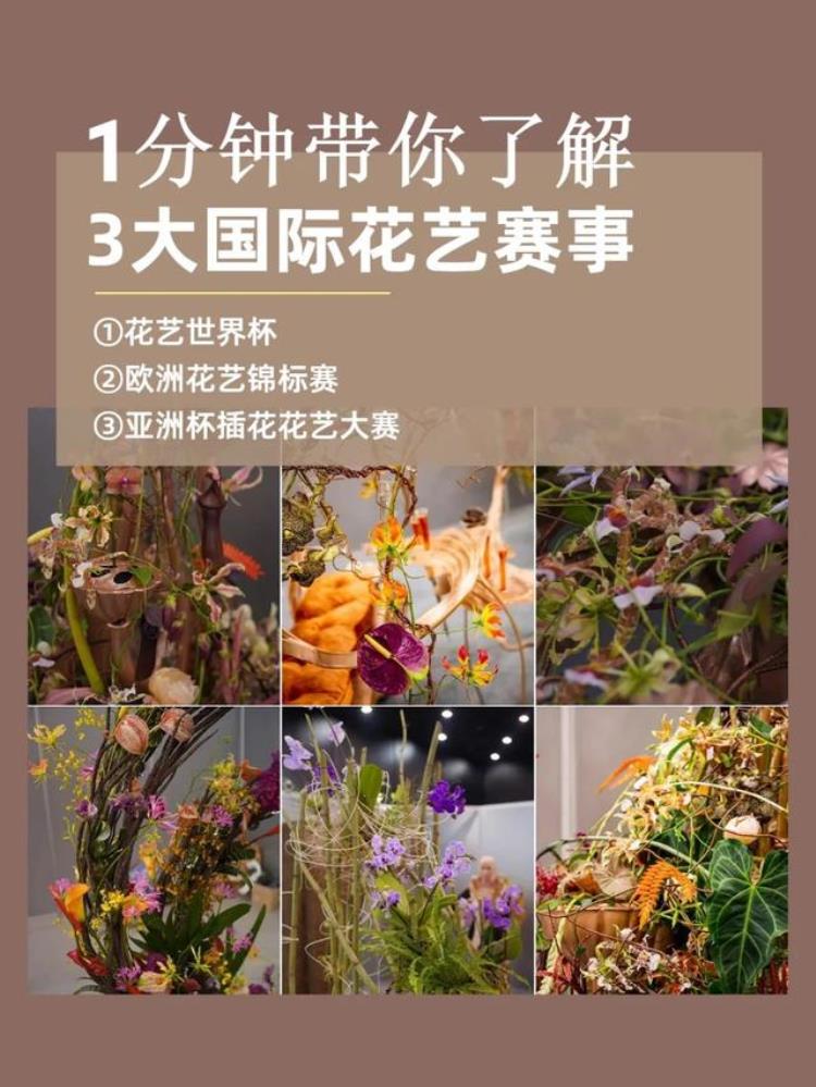 科普|那些极具影响力的国际花艺赛事