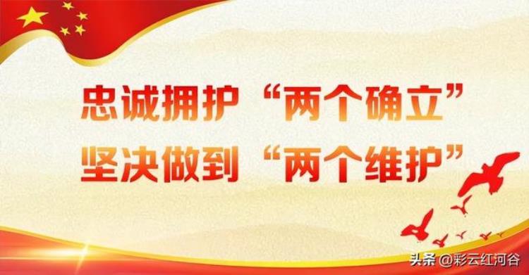 好样的红河县足球小将荣获ICC彩云杯2022年云南省青少年足球邀请赛六年级组冠军