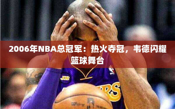 2006年NBA总冠军：热火夺冠，韦德闪耀篮球舞台